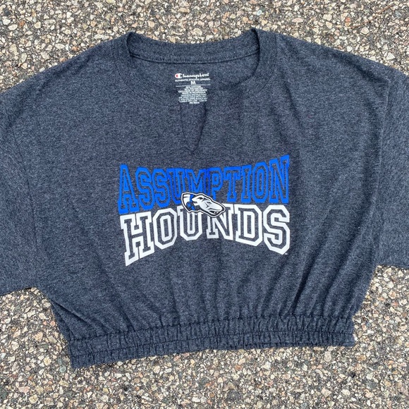 Assumption Crop Top - Picture 3 of 3